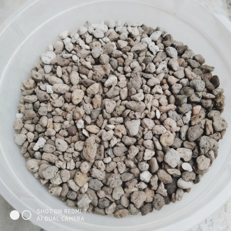 Media Tanam Pumice batu apung 1 Cm kaktus campuran media 500 gram