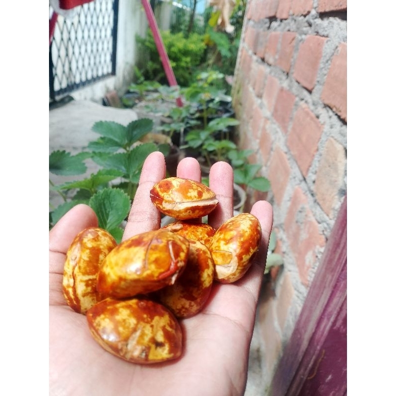 

jengkol_sambel