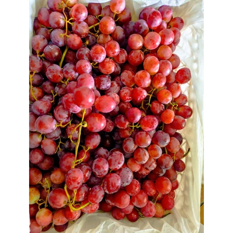 

Anggur Australia Merah PREMIUM 250 gram kirim instan area solo dan sekitarnya