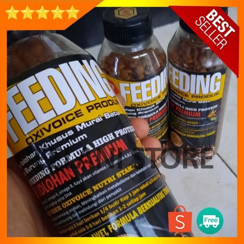 oxivoice feeding pakan burung murai lolohan Voer lolohan murai