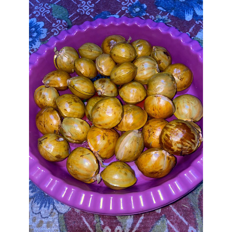 

JENGKOL TUA FRESH 1KG