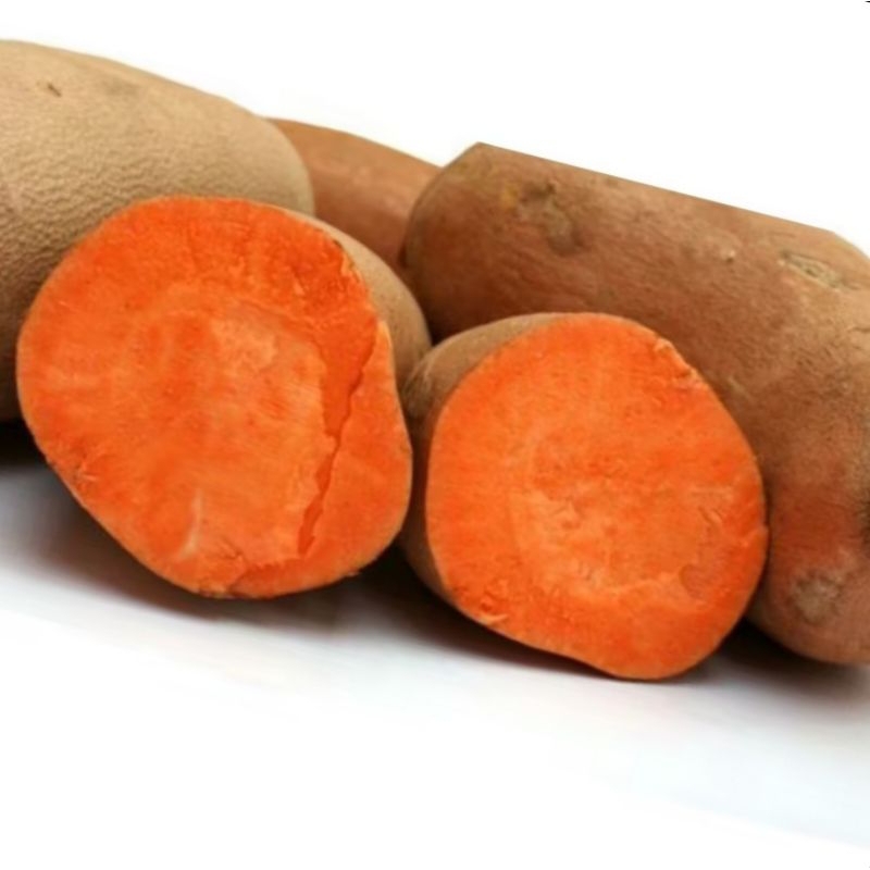 

UBI MADU ORANGE MANIS