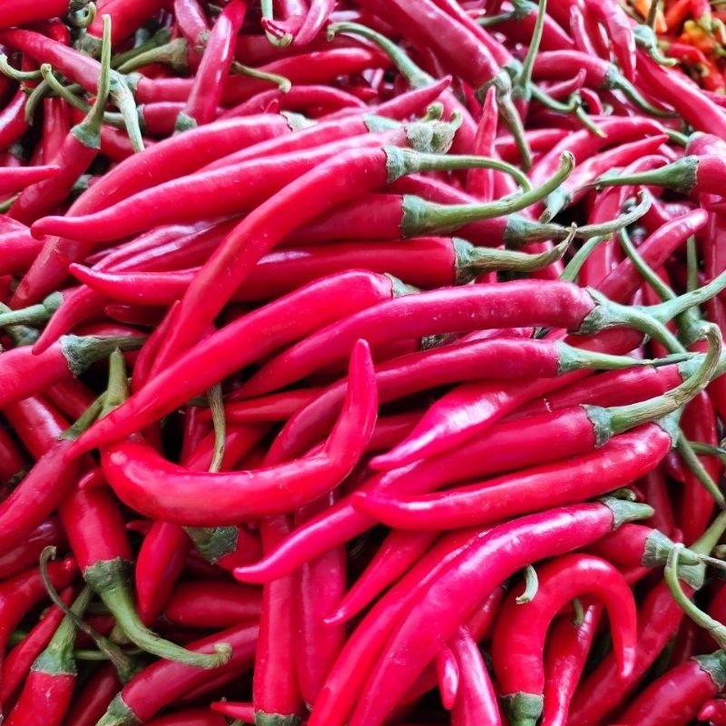 

Cabe merah besar segar Super &Tanggung Banyuwangi 1000g|