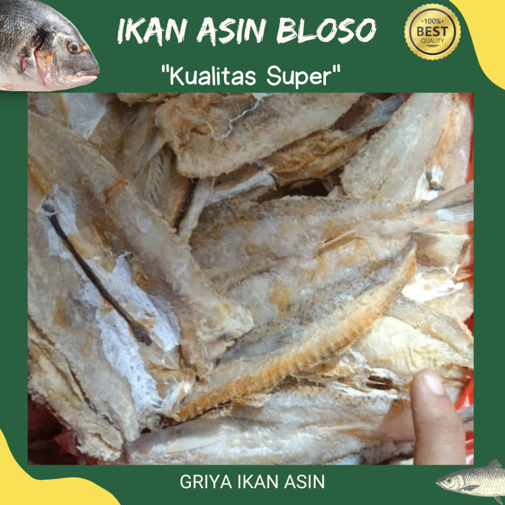 

Ikan asin bloso/ikan gabus laut/ikan asin jenggalak termurah 1 kg