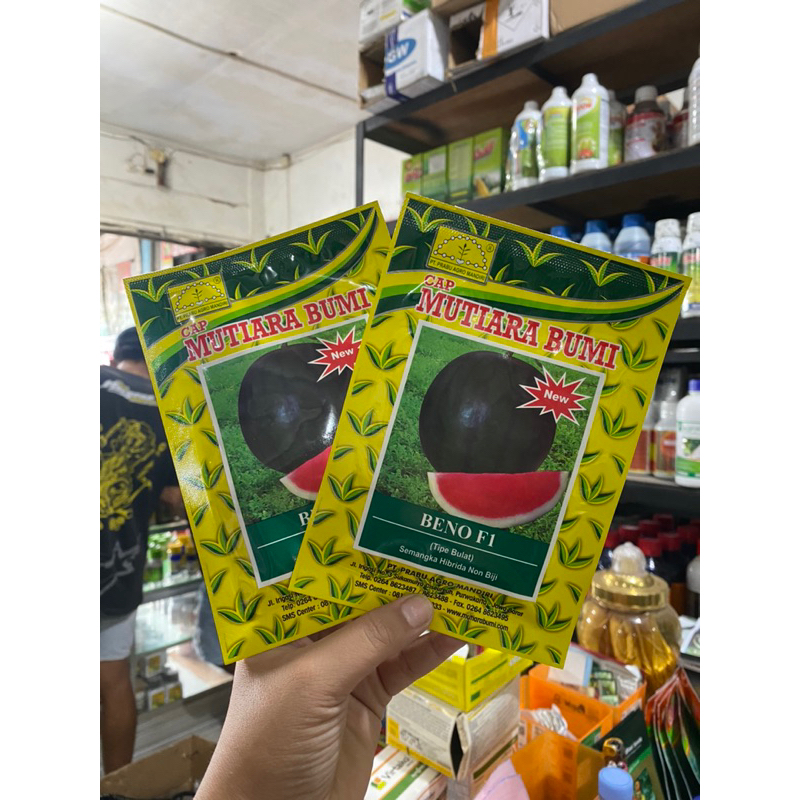 Benih Semangka Hibrida Non Biji  BENO F1-Cap Mutiara Bumi