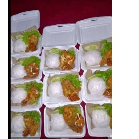 

nasi ayam