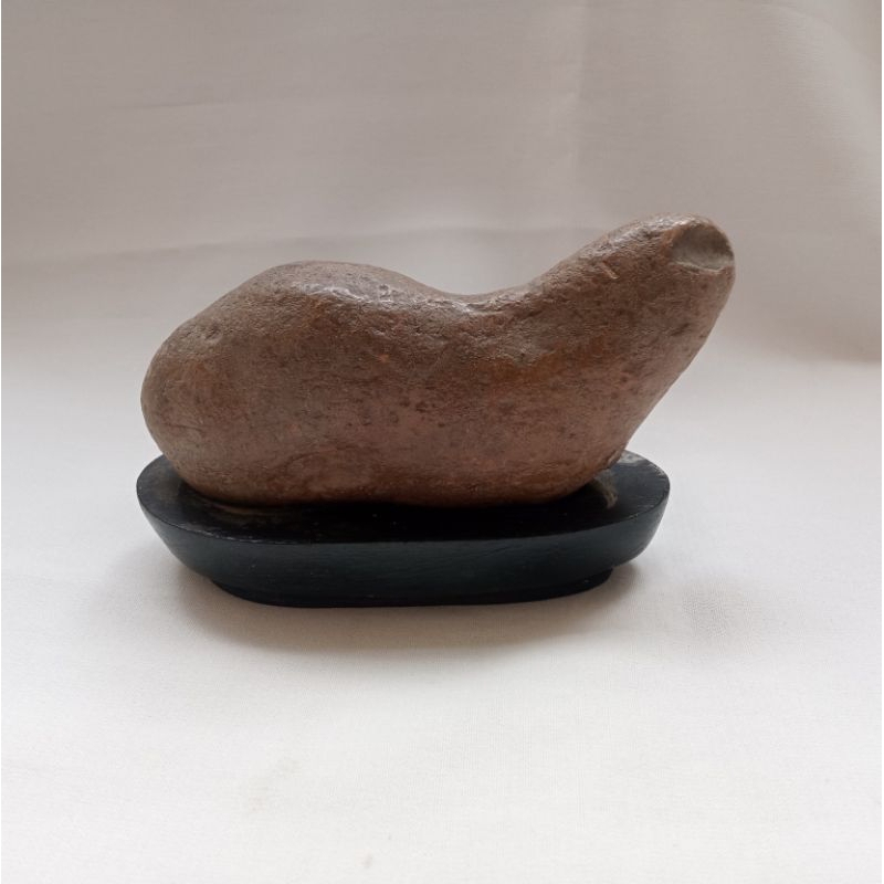 Koleksi Batu Suiseki Motif Ikan Topppp