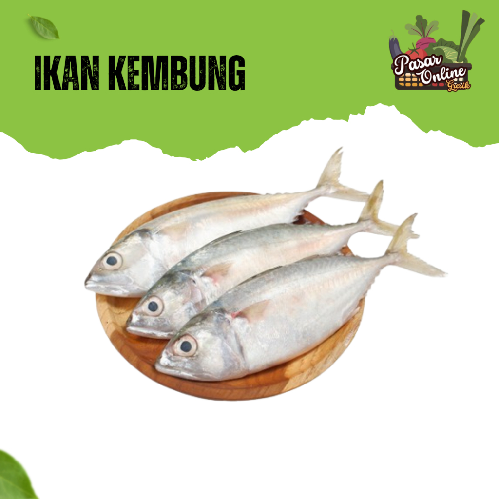 

IKAN KEMBUNG - 500GR