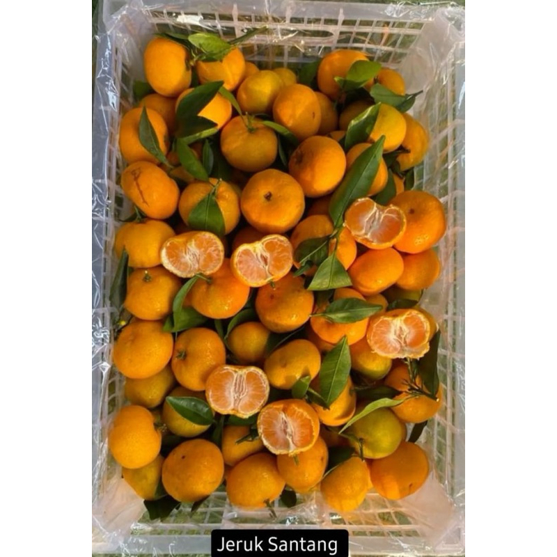 

Jeruk Santang Manis