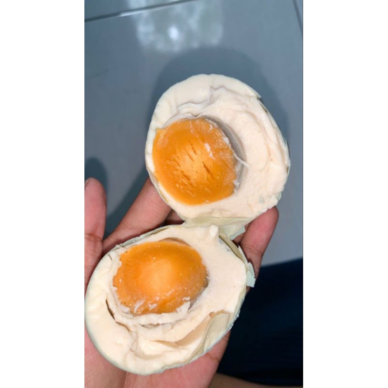 

TELUR ASIN OMEGA /MASIR (min 10 BUTIR)Telur bebek asli 100%