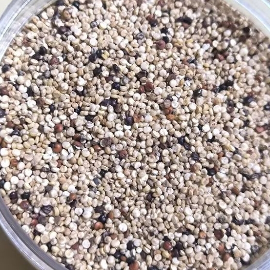 

Beras quinoa tiga warna mix quinoa 100gr