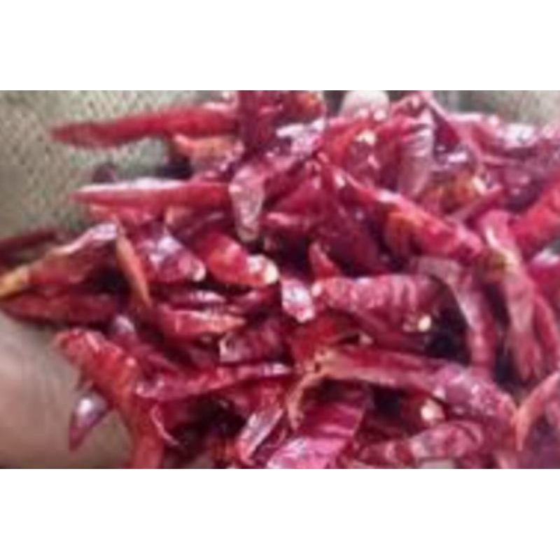 

CABE MERAH KRITING KERING ( TANPA BATANG ) RP 19.000 / 250 GRAM