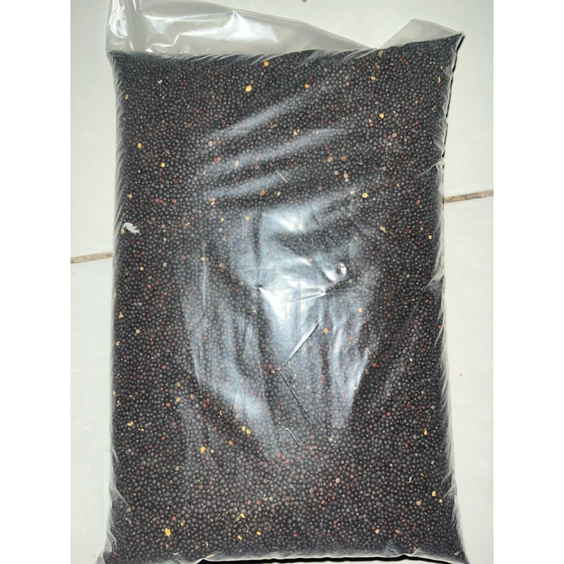 

Biji Sawi Vita Kemasan Praktis 1kg,500g,250g