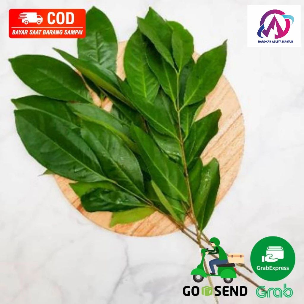 

KIRIM INSTAN Daun Jeruk Daun Salam 25gr Bumbu Dapur Sayur Fresh Segar BAM Olshop Padang