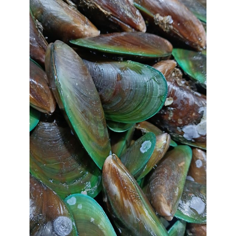 

keranghijau