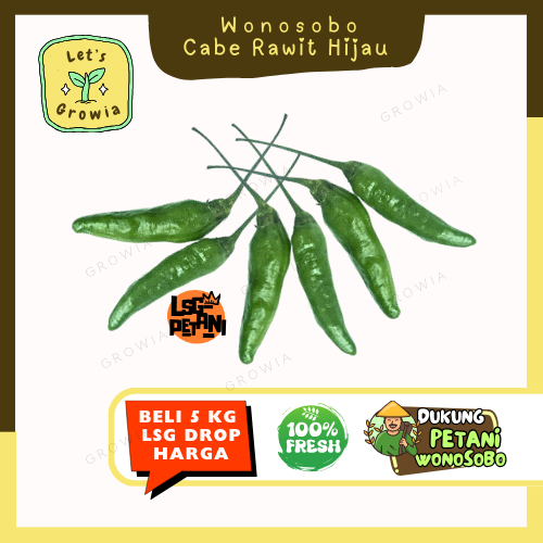

Growia | Cabe Cabai Rawit Hijau Reco Wonosobo 250 gr - 1/2 Kg Grosir 5 Kg Termurah Langsung Petani