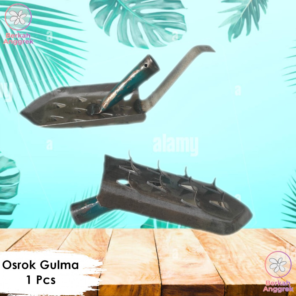 Garuk Sawah Osrok Gulma Padi