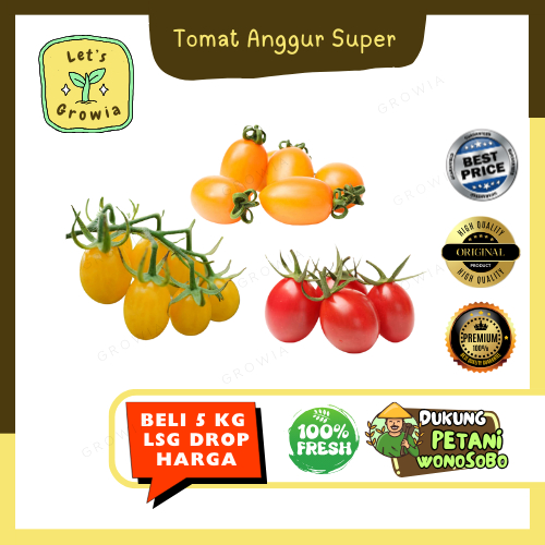 

Growia | Tomat Anggur Merah Kuning Orange Hijau Ungu Super 500Gr 1 Kg 2,5 Kg 5 Kg