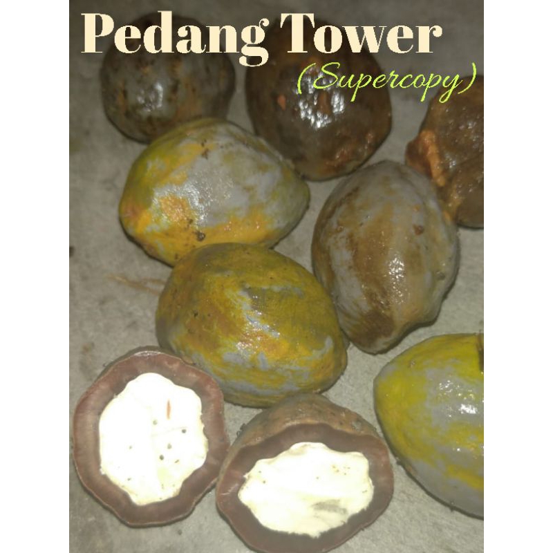 Muncang Pedang Tower (Supercopy)