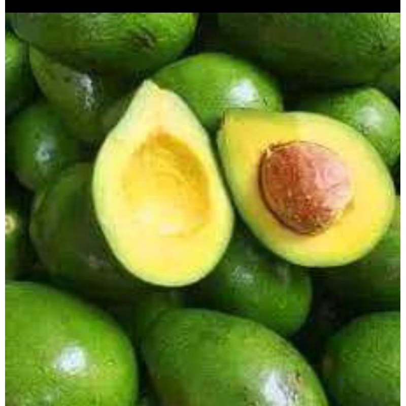 

alpukat mentega 1kg