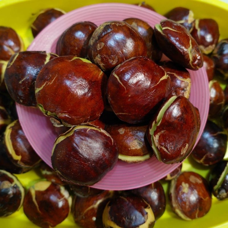 

jengkol super tua fresh 1kg/2kg/750grm/500grm/250grm