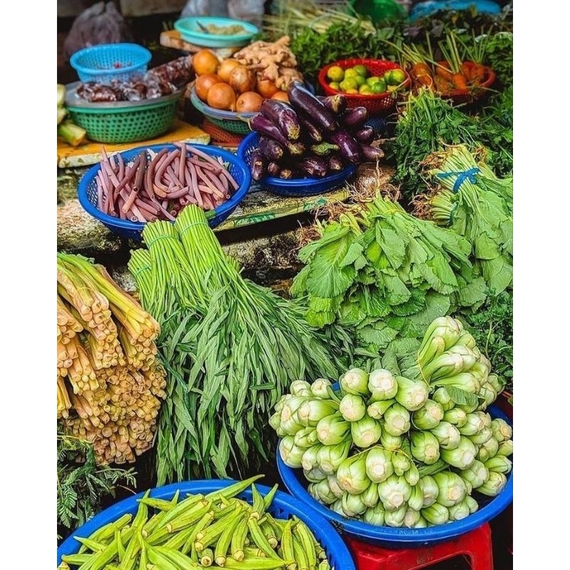 

SERBA SERBU( SERBA 3 RB)