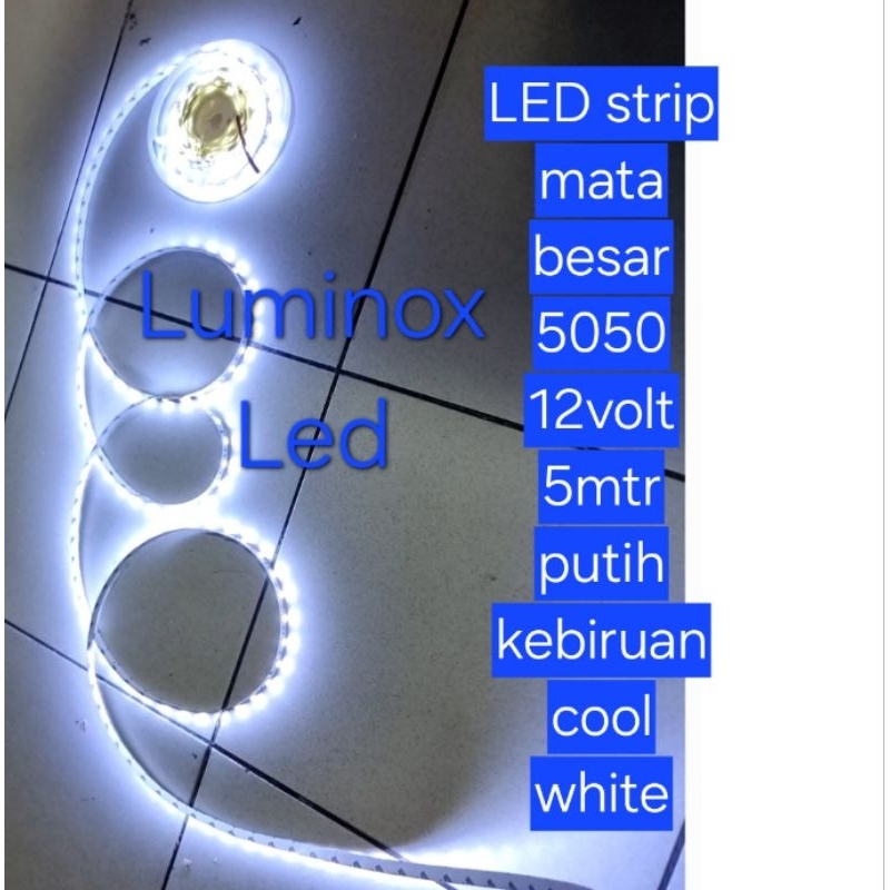 led strip putih kebiruan 5050 smd 5meter 12v / strip ceiling cool white 5050 smd 12volt 5mtr