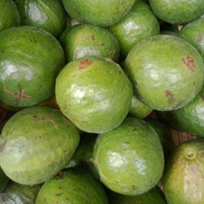 

Alpukat 3-5 Per kg.