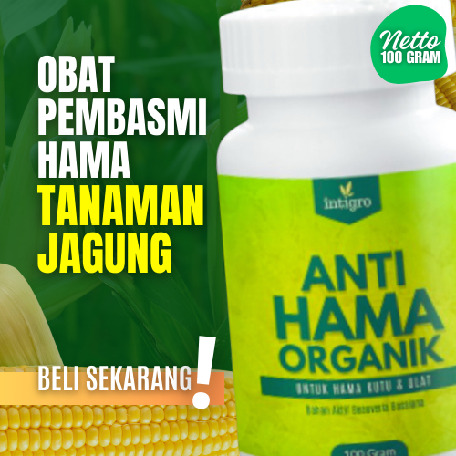 Pestisida Obat Pembasmi Hama Ulat Tanaman Jagung Belalang Daun Jagung Tongkol Kutu Wereng Insektisid