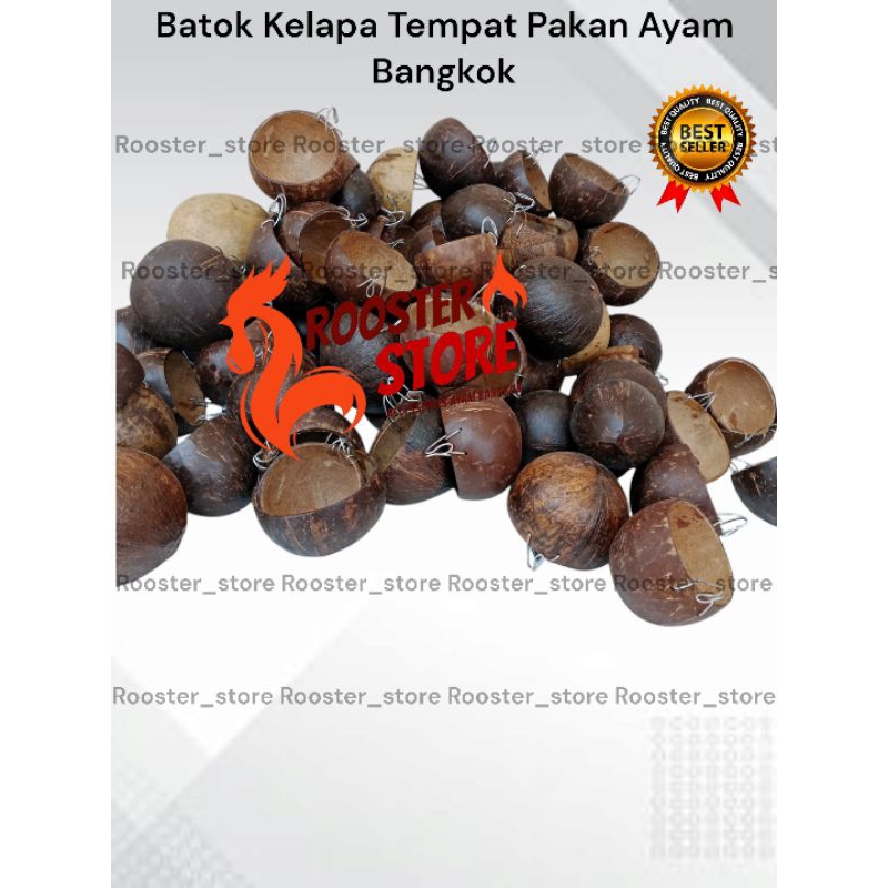 PROMO Batok Kelapa Tempat Pakan Ayam Bangkok Batok Kelapa Tempat Minum Ayam Aduan Jago Bangkok