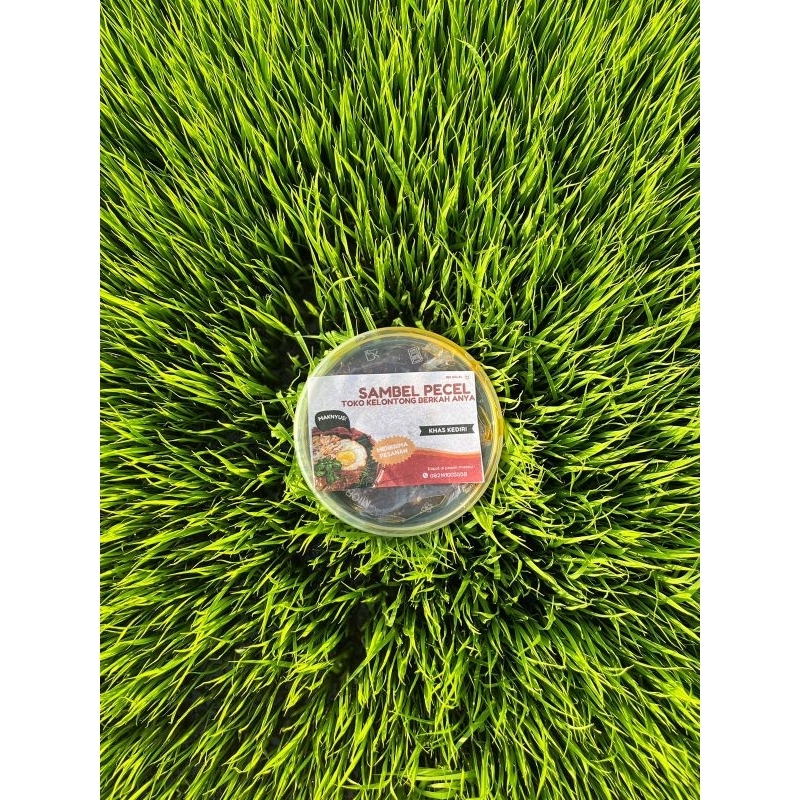 

Bumbu pecel enak 2ons