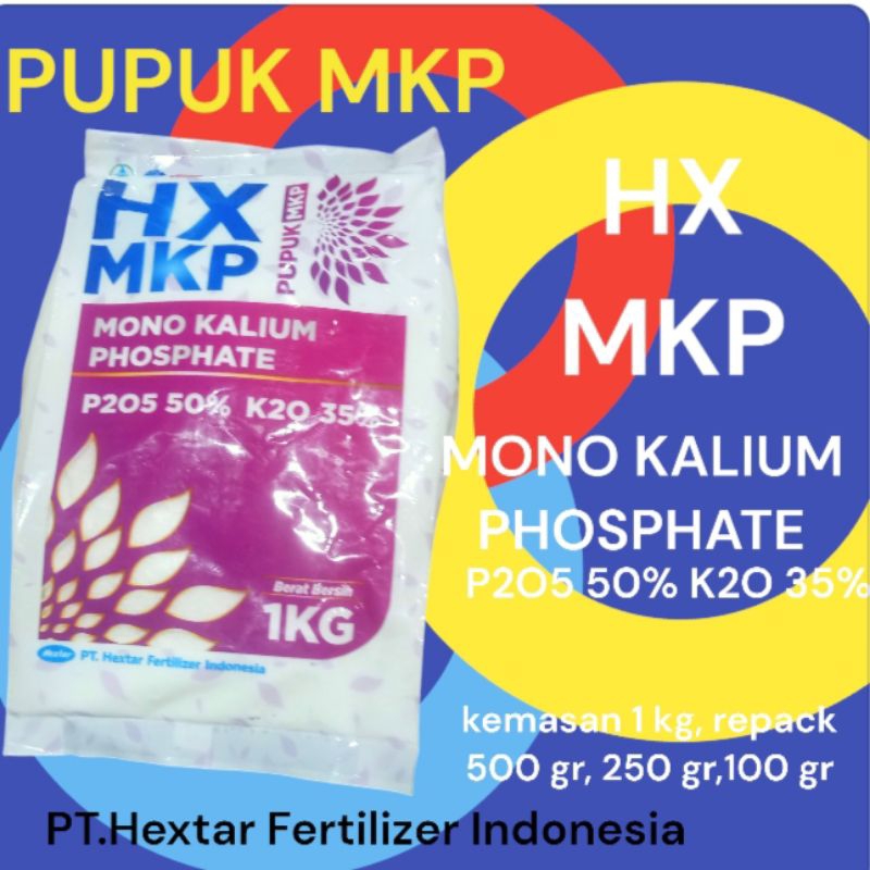 Pupuk MKP Hextar Malaysia (HX MKP) Mono Kalsium Phosphate P2O5 50%, K2O 35% kemasan 1 kg, repack 500