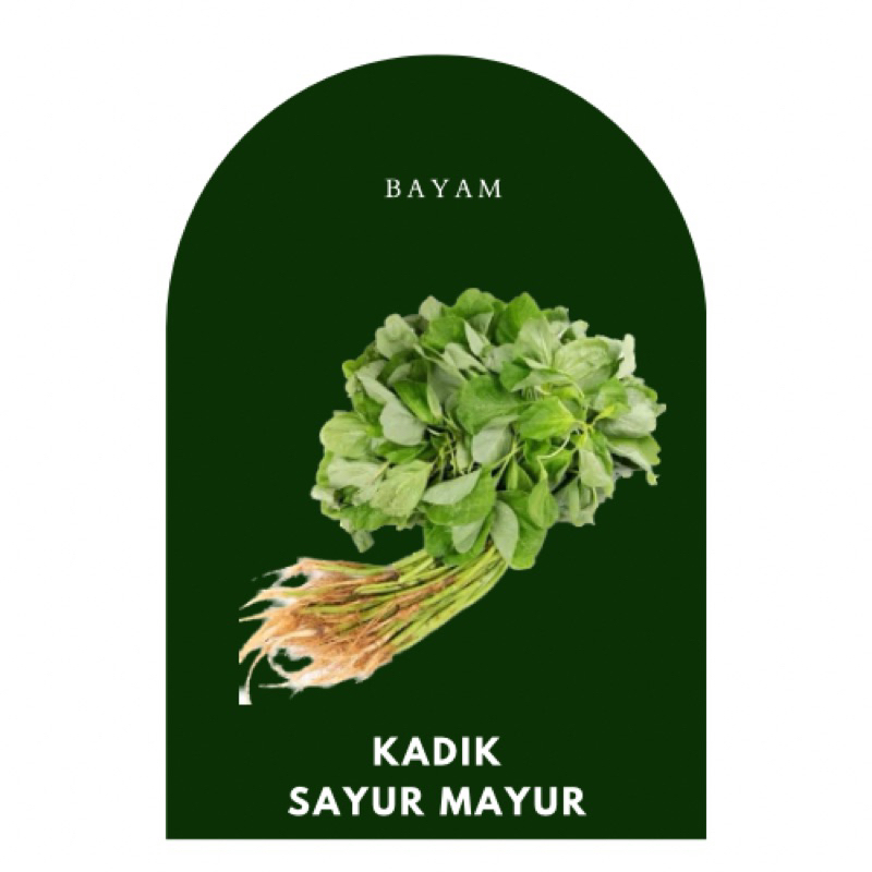 

KIRIM INSTANT BAYAM SEGAR AREA BANTUL JOGJA