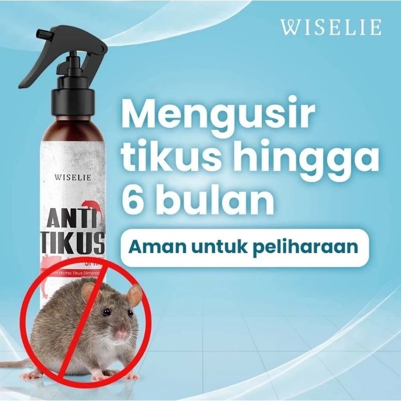 Wiselie Pengusir Tikus Alami Obat Pengusir Anti Tikus Ampuh Termurah Terlaris Original