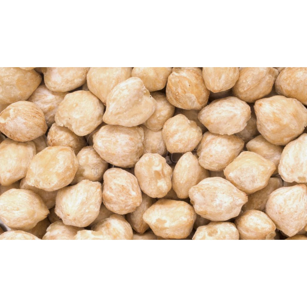 

Kemiri | Candlenut .