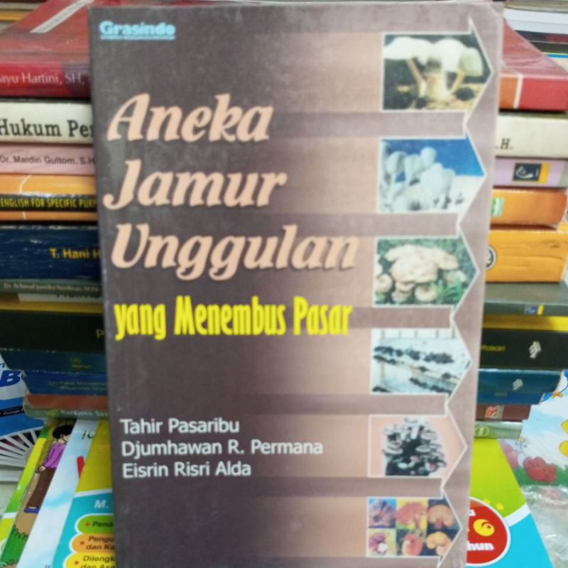 

ANEKA JAMUR UNGGULAN YANG MENEMBUS PASAR