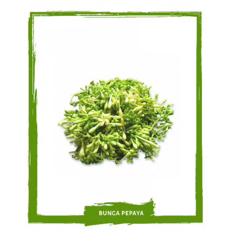 

Bunga Pepaya / Sayur Segar By Sayur Mallah