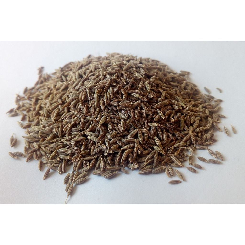 

Jintan Halus & Kasar 100Gr / Jintan Putih / Jinten Halus / Jinten Putih / Jeera / Cumin Seeds