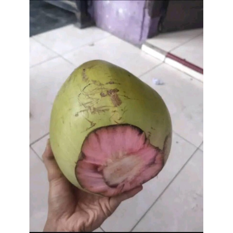 

degan / kelapa muda ijo asli / degan sereh / kelapa muda serat merah