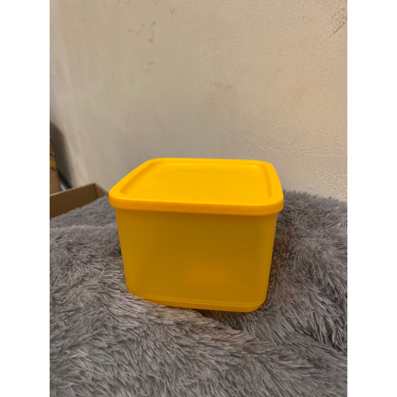 medium Summer tupperware