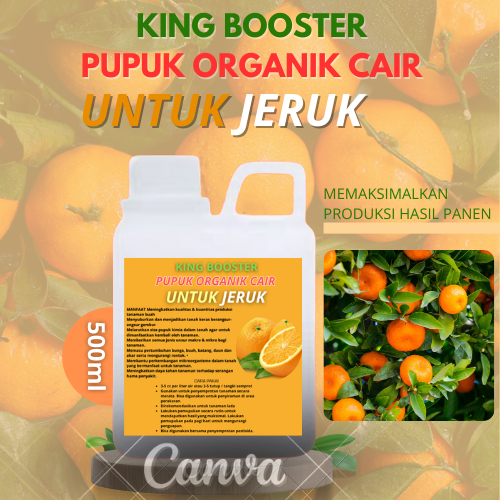 Pupuk jeruk lemon, pupuk Booster jeruk manis agar cepat berbuah lebat