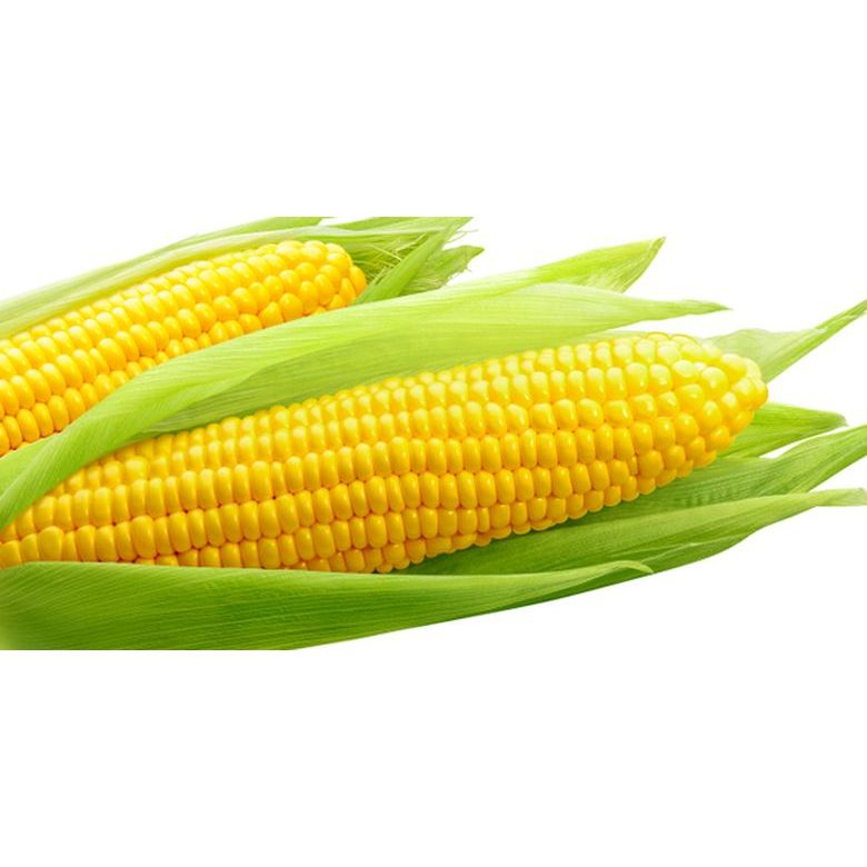 

[500 GRAM] Jagung Manis Besar 500gr