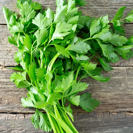 

[500 GRAM] Daun Seledri 500 gr - Saledri - Bahan Masakan