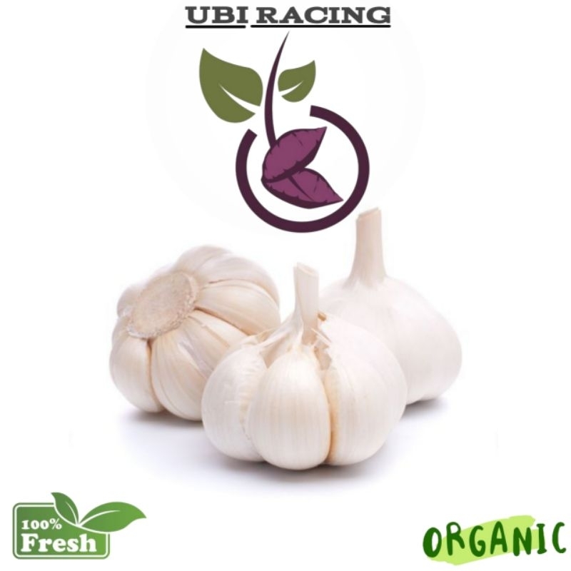 

Bawang Putih Besar 500gr Super Fresh