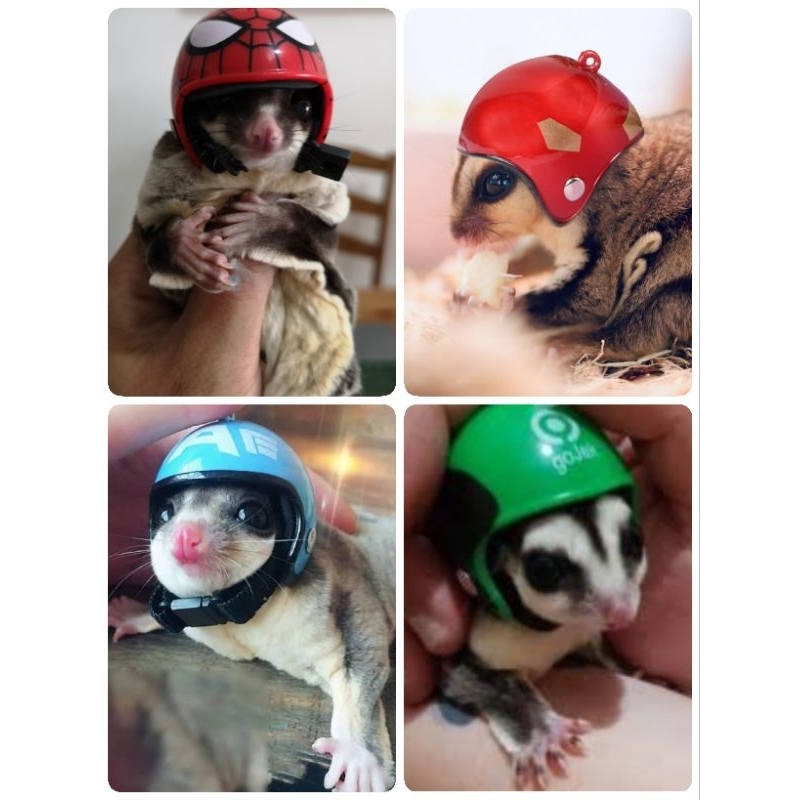 HELM MINI - Helm Sugar Glider Topi Sugar Glider Baju Sugar Glider Aksesoris Sugar Glider Pakaian Sug