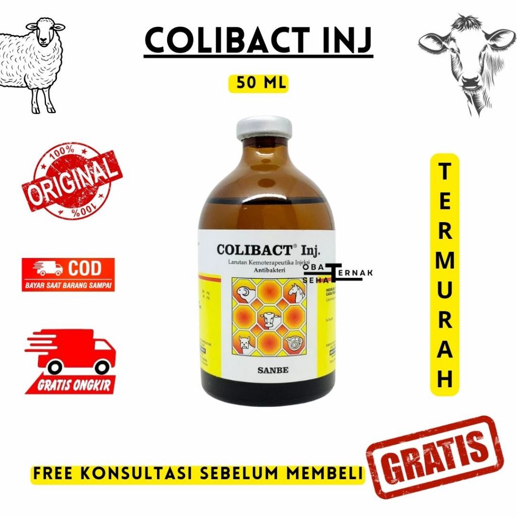 COLIBACT INJEKSI 50ML - Obat Mencret Sapi - Obat Diare Sapi Kambing Domba - Obat Antibiotik Hewan