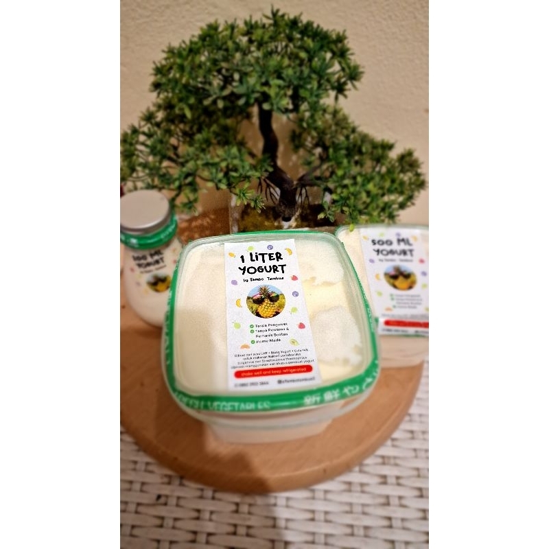 

Yogurt Home Made| UHT Diamond 100% susu Segar| Yogurt Kental Original