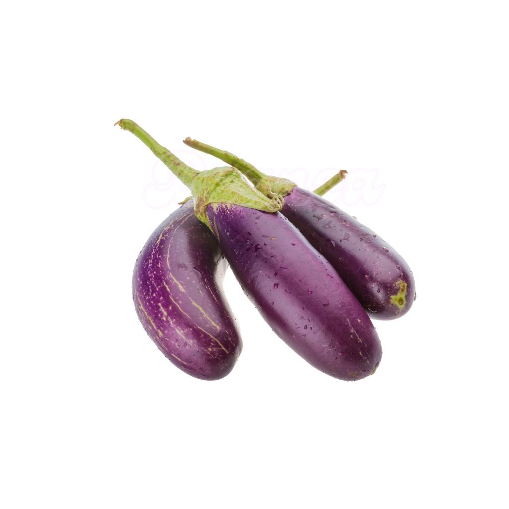 

Terong Ungu | Terung | Eggplant