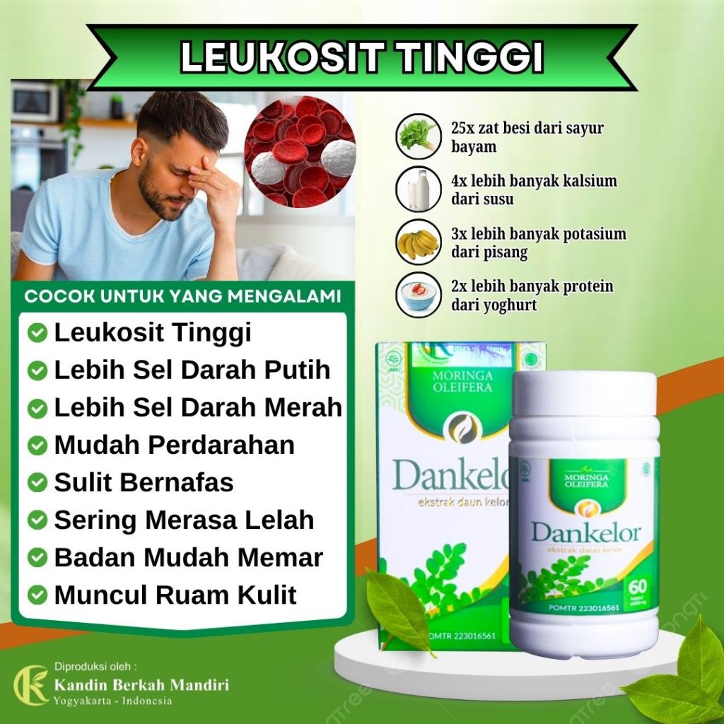 Obat Herbal Penurun Leukosit Tinggi, Obat Leukosit Tinggi, Penurun Sel Darah Putih Dankelor Original