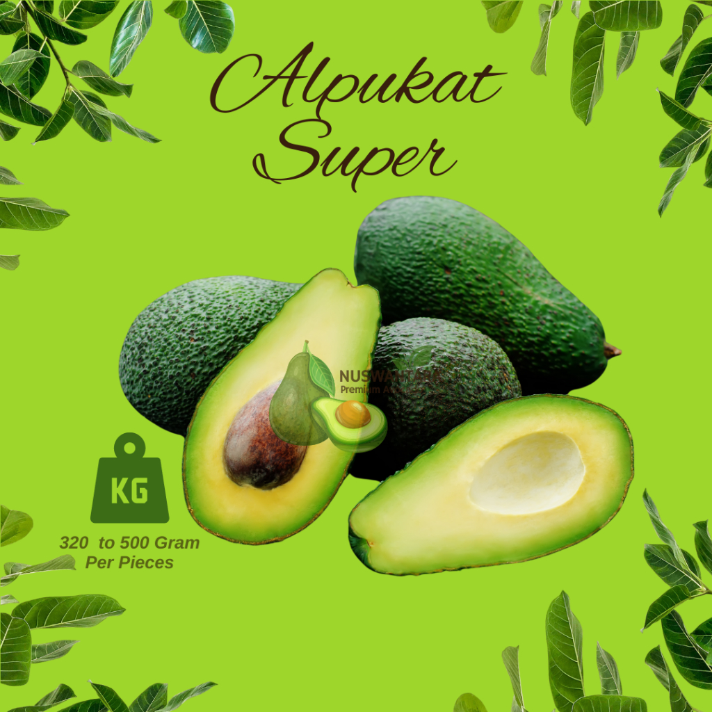 

Alpukat Mentega Super (2-3 Biji Per Kg) BERGARANSI